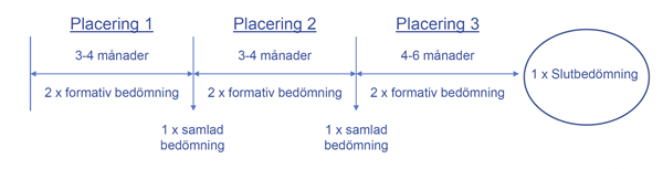 Tidslinje placering